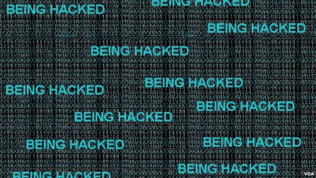 Desmantelan red de hackers y operadores financieros