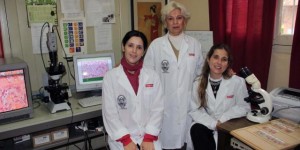 Científicas argentinas crean un biomaterial innovador para regenerar hueso a partir de la combinación de proteínas
