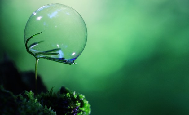 La “fotosíntesis inversa” puede revolucionar la industria gracias a la luz del Sol