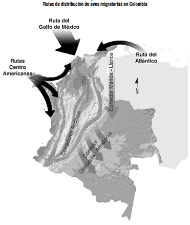 Rutas de migración en Colombia.