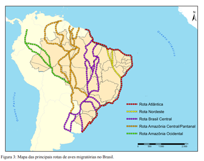 Rutas de migración en Brasil.