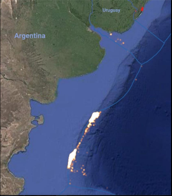 Barcos pesqueros en la frontera de la juridicción argentina (globalfishingwatch)