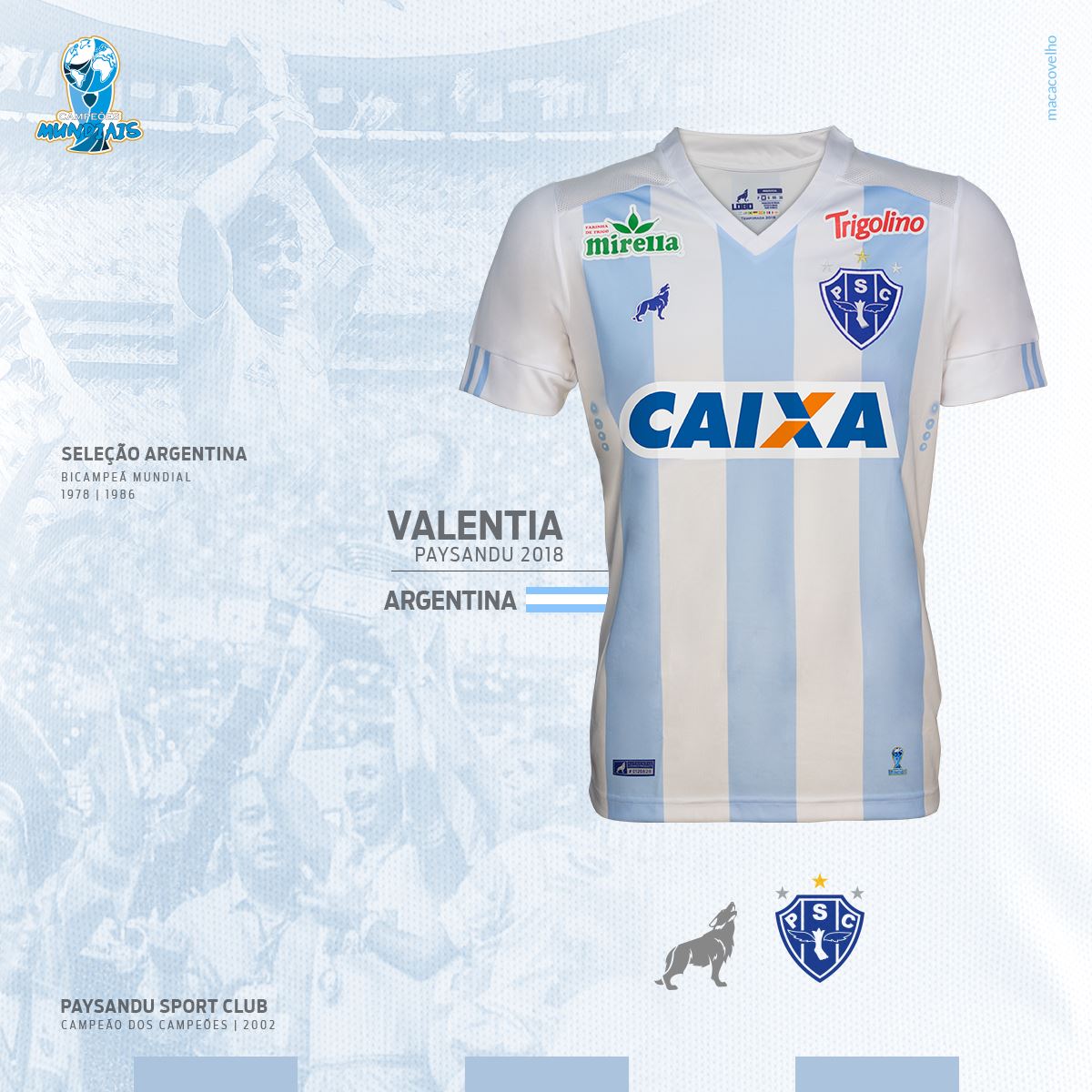 Insólito: un equipo brasileño usará una camiseta en honor a la Selección argentina
