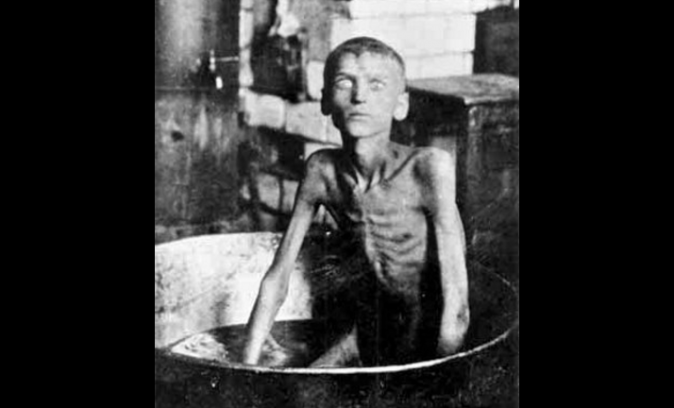Un muchacho de la aldea Blahovishchenka (gobernatura o provincia de Zaporizhzhia, Ucrania) -Ilarion Nyshchenko, de hambre mató a su hermano de 3 años y se lo comió (1921-22) (Dominio Público)